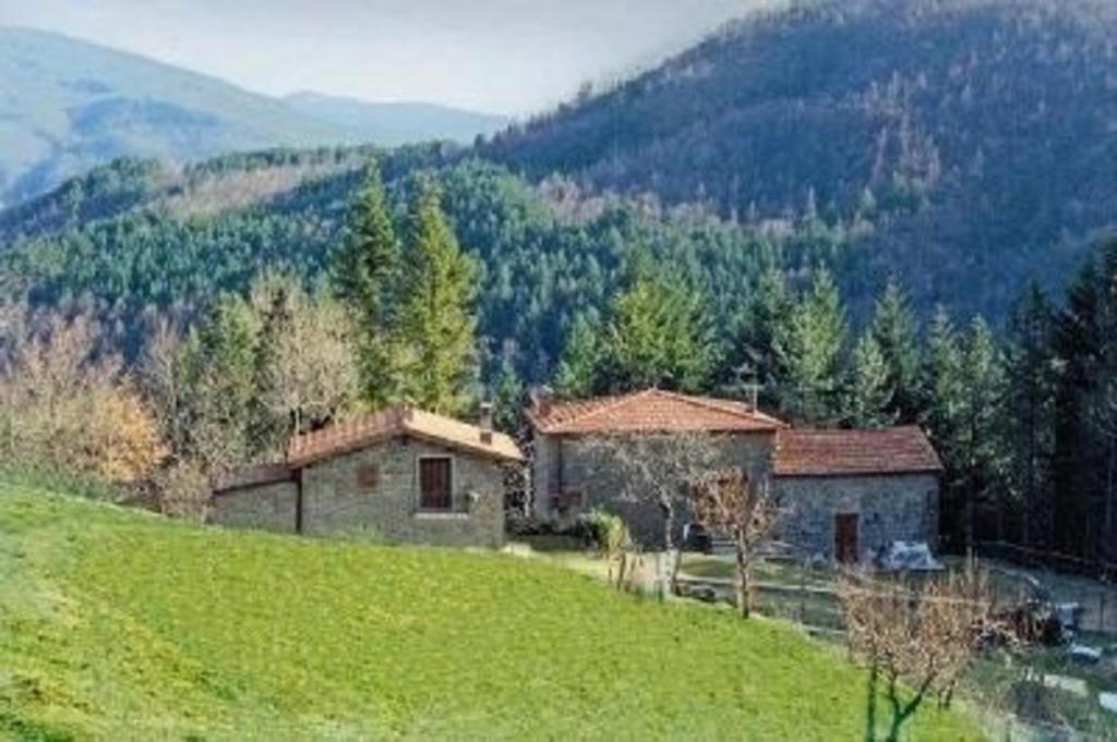 una casa en la cima de una colina verde con árboles en Ferienwohnung in Bibbiena mit Garten, gemeinsamem Pool und Grill, en Bibbiena