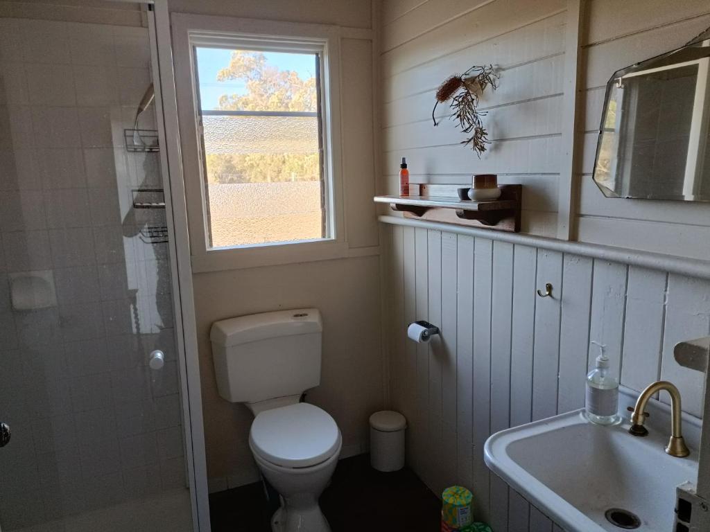 baño con aseo y lavabo y ventana en Timbermiller's cottage, en Deeside