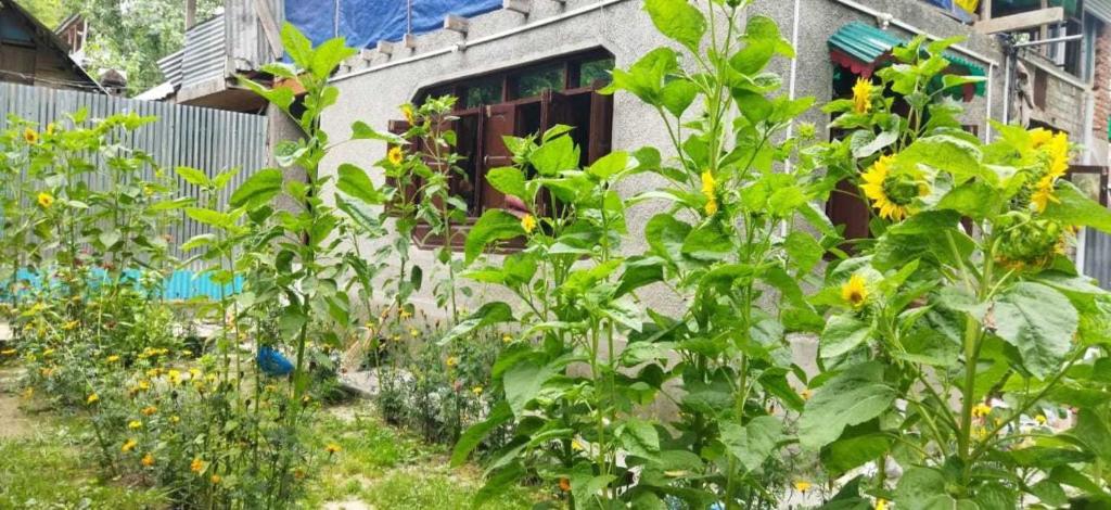 einen Garten mit vielen Pflanzen vor einem Gebäude in der Unterkunft POP Maryam Villa in Gāndarbal