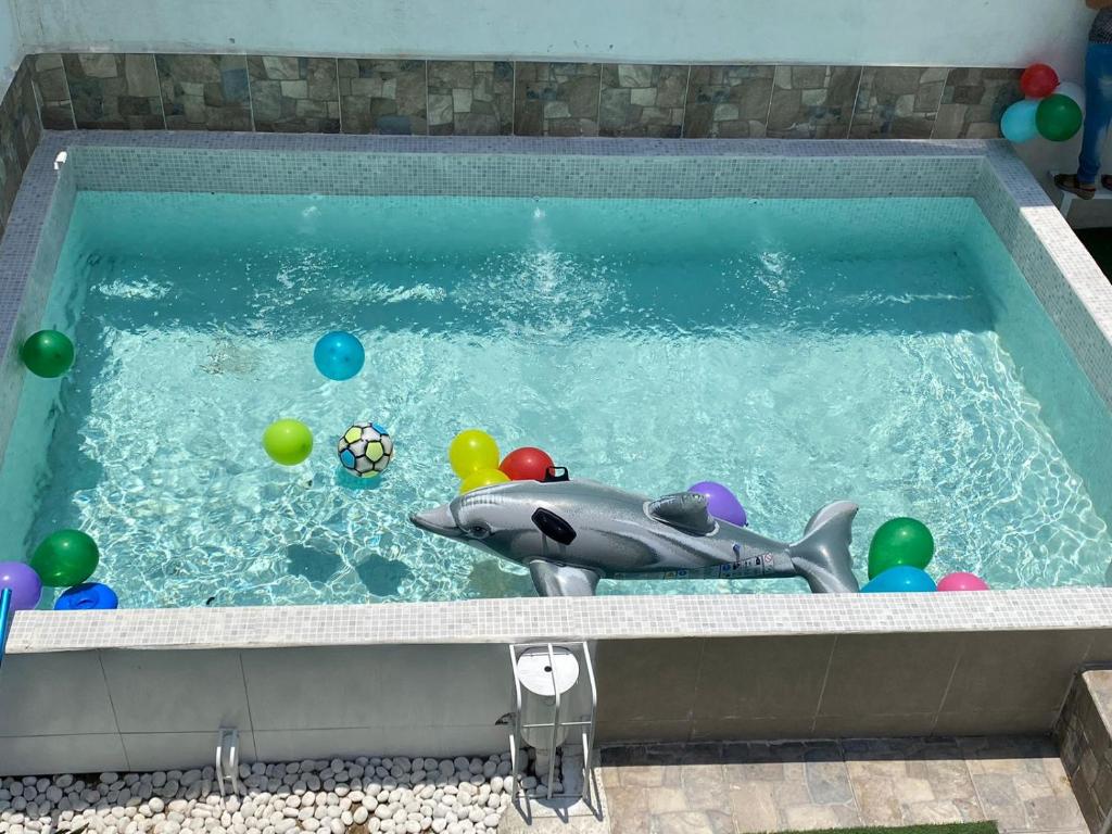 einen Pool mit einem Haispielzeug und Bällen darin in der Unterkunft Casa de descanso con piscina Galileos in León