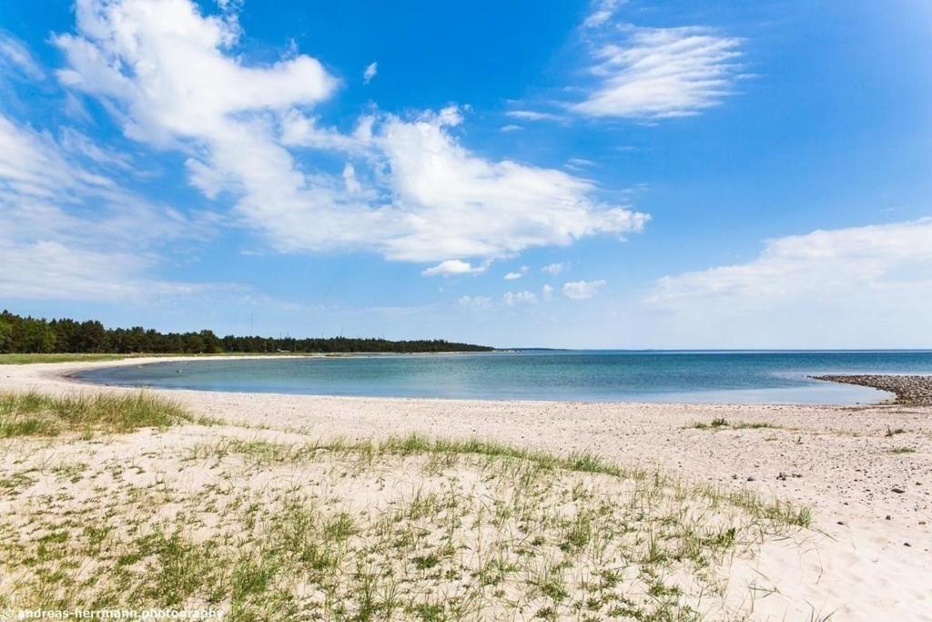 una playa de arena con el océano en el fondo en Großes Ferienhaus auf Gotland 700 Meter zum Meer en Ljugarn