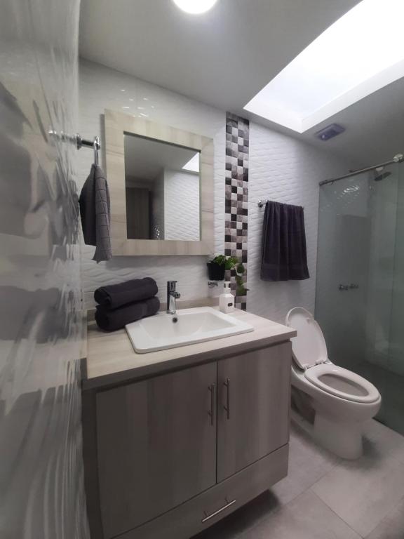 マニサレスにあるSuite con hamaca y baño privado.のバスルーム(洗面台、トイレ、鏡付)