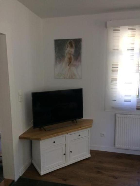 TV a/nebo společenská místnost v ubytování Ferienhaus in Bad Elster mit Kleinem Kamin