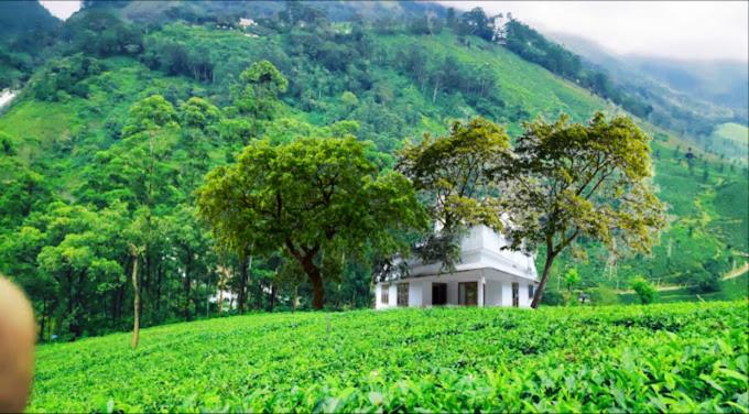 a white house on a green hill with trees at CJ Cottage Munnar - Near Attukal Waterfalls, Athukad Tea Estate (CJ Hotels & Resorts) in Devikolam