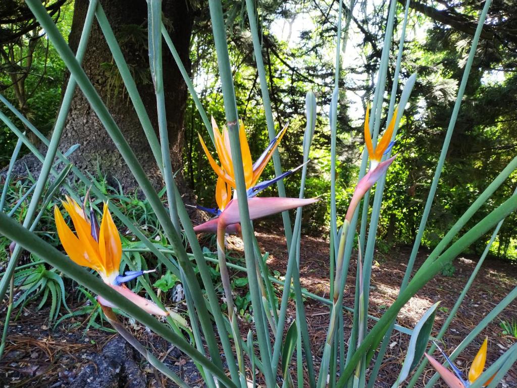 Arles Historical Homestead - Resim 20