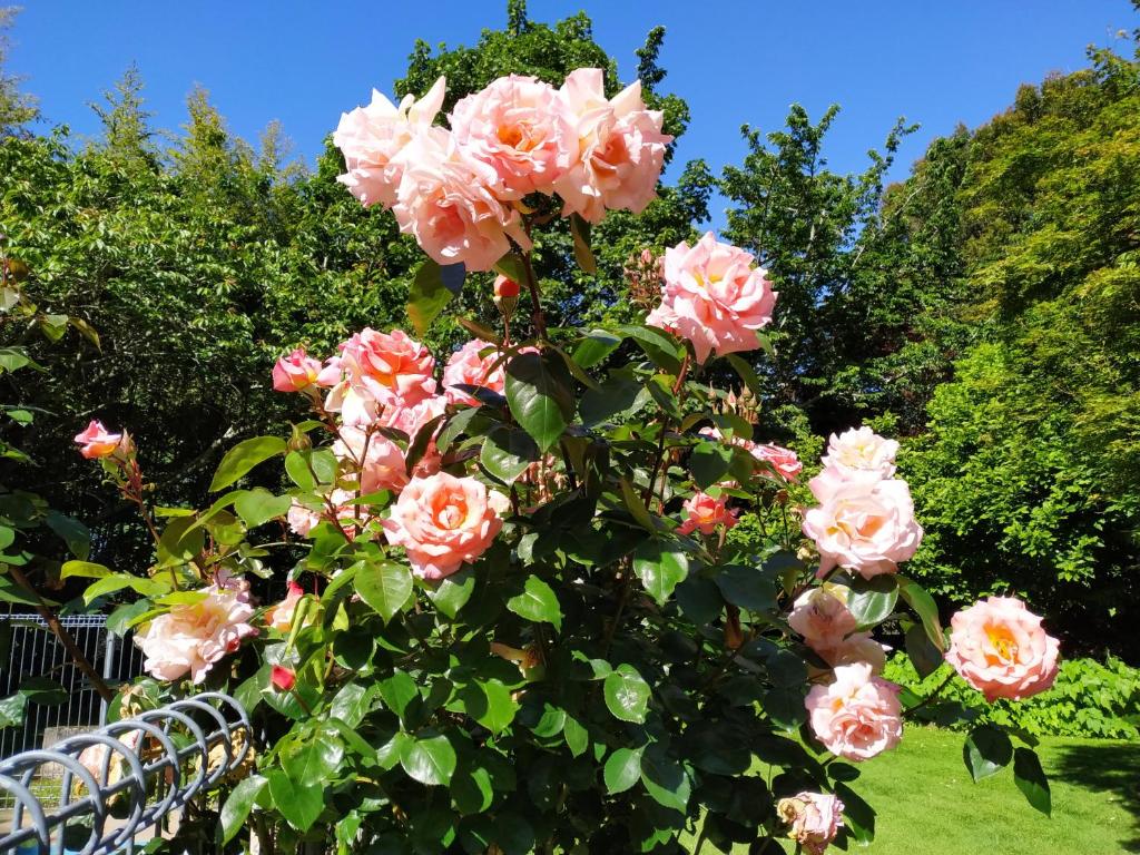 Arles Historical Homestead - Resim 18
