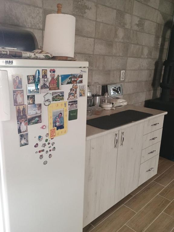 Kuchyň nebo kuchyňský kout v ubytování Vikendica "Tošić"