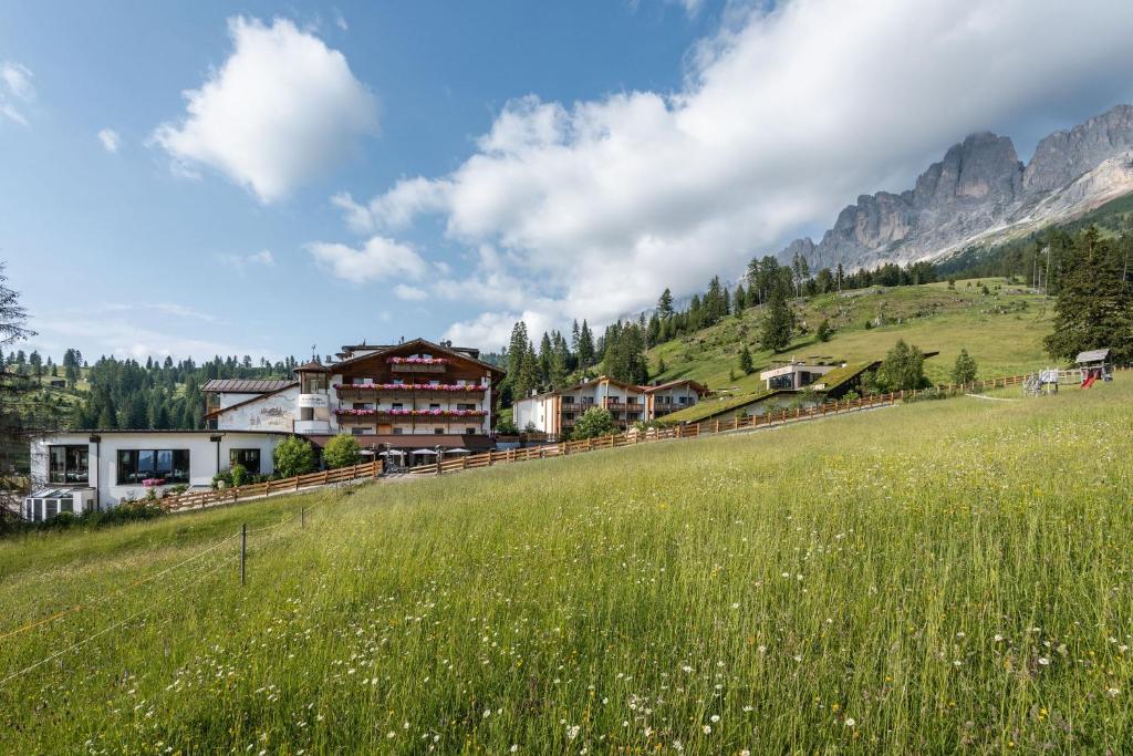 a green field with a house in the mountains at Moseralm Dolomiti Spa Resort in Nova Levante