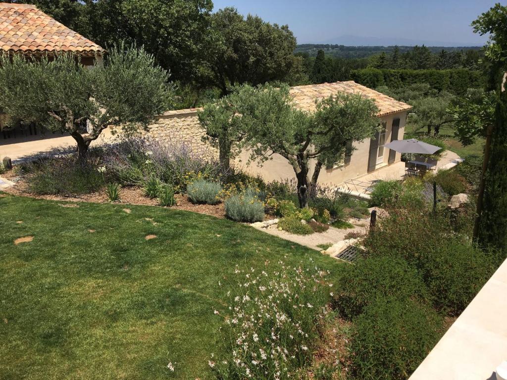 EyraguesにあるBeautiful villa with pool near St Remy de Provenceのオリーブの木が植えられた庭園