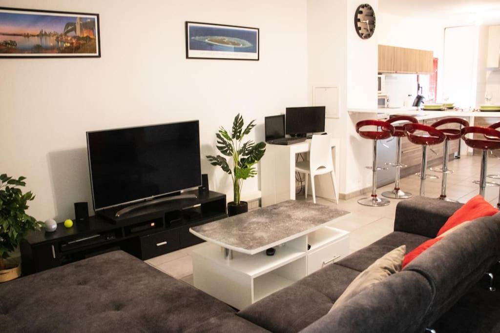 ein Wohnzimmer mit einem Sofa und einem Flachbild-TV in der Unterkunft Duplex avec jardin - 2 parkings privés - 2 chambres in Cornebarrieu