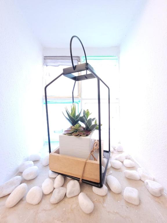 Fotografia z galérie ubytovania JEY STUDIO_INDEPENDENT SEAFRONT APARTMENT v destinácii Terrasini