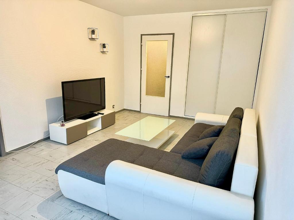 uma sala de estar com um sofá e uma televisão em Superbe T2, Spacieux em Saint-Étienne