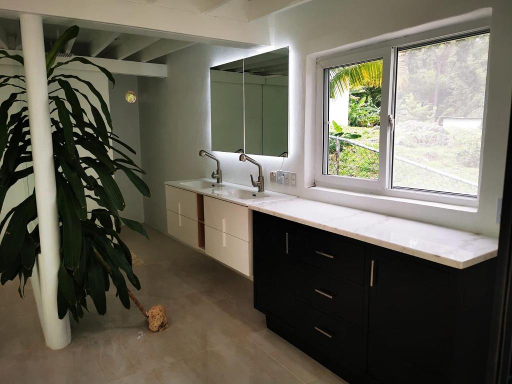 ein Badezimmer mit einem Waschbecken, einem Fenster und einer Pflanze in der Unterkunft Ocean view Rocky Hill in Content