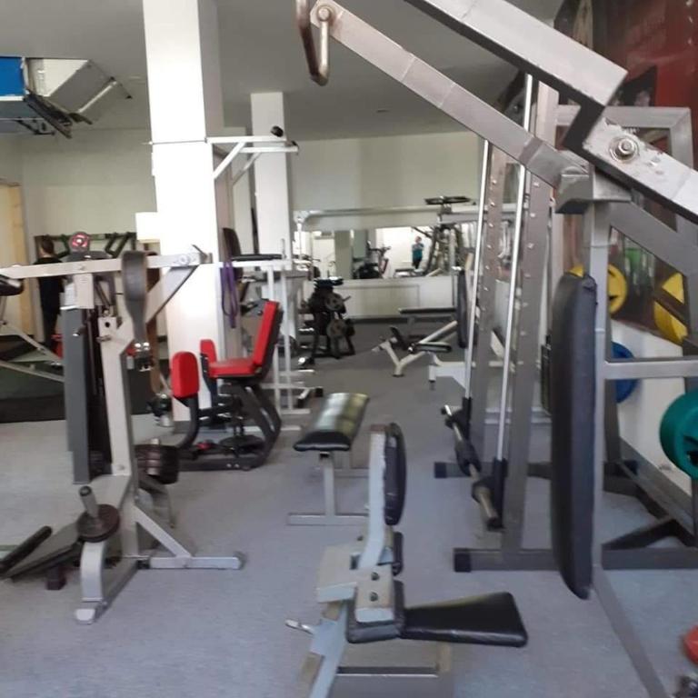 Fitness centrum a/nebo fitness zařízení v ubytování MonarX Suites