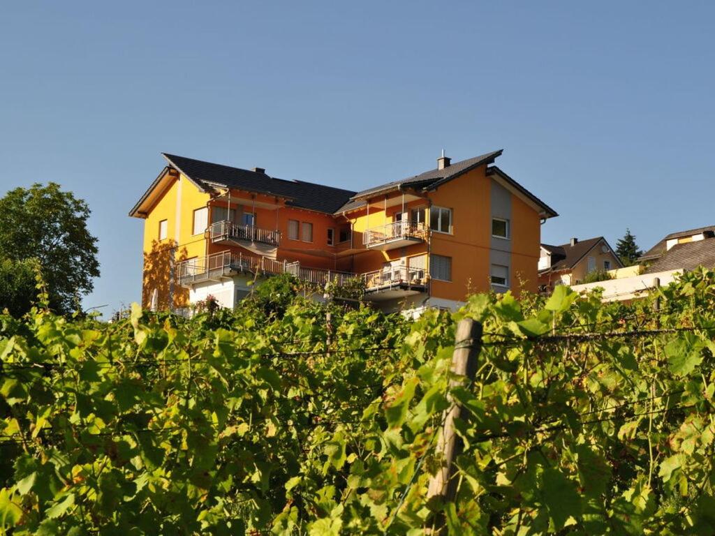 a house on top of a hill with trees at SonnenHof holiday apartment 4 in Enkirch