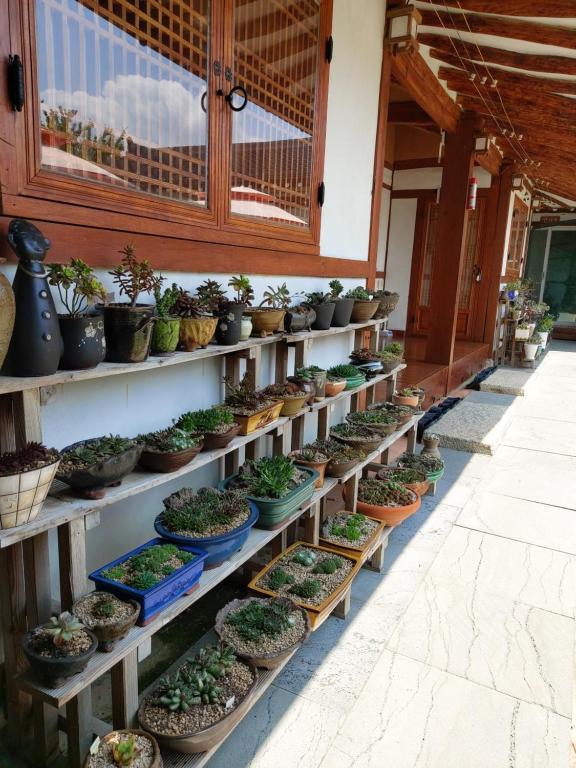 Fotografie z fotogalerie ubytování Hanok Raon v destinaci Kjongdžu