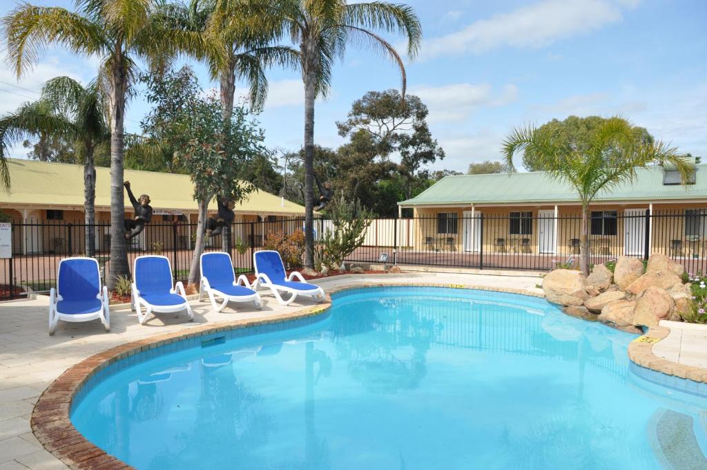 a swimming pool with blue chairs and palm trees at Pinjarra Resort in Pinjarra