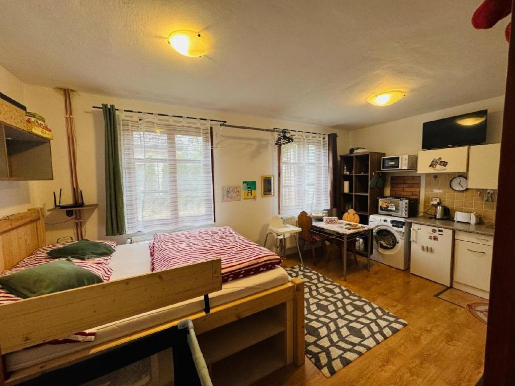 Kuchnia lub aneks kuchenny w obiekcie Apartmány Srub Jenišov