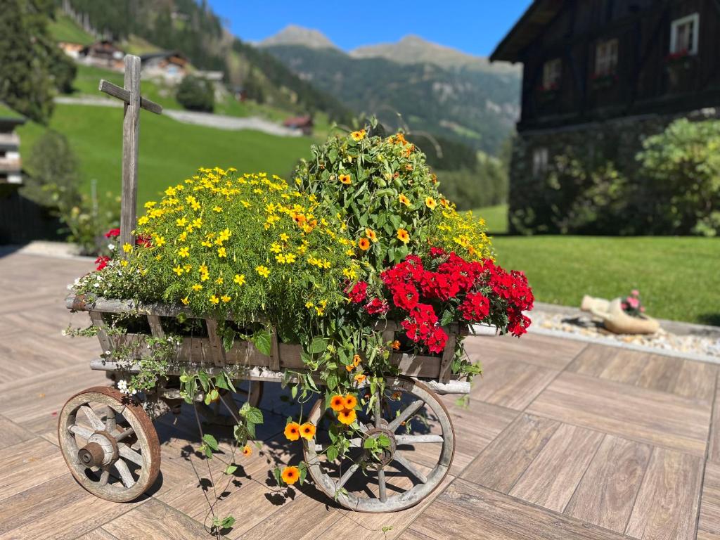 Zahrada ubytování Hotel Garni Grünmoos