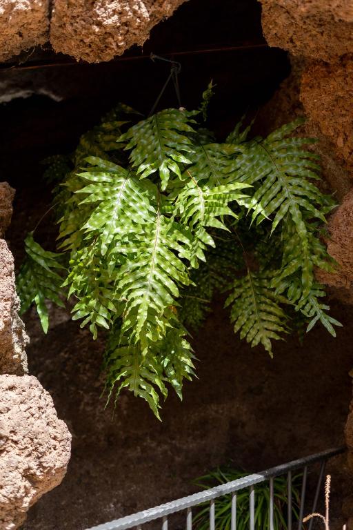 Fotografie z fotogalerie ubytování Las Fajanas de Gáldar v destinaci Las Palmas de Gran Canaria