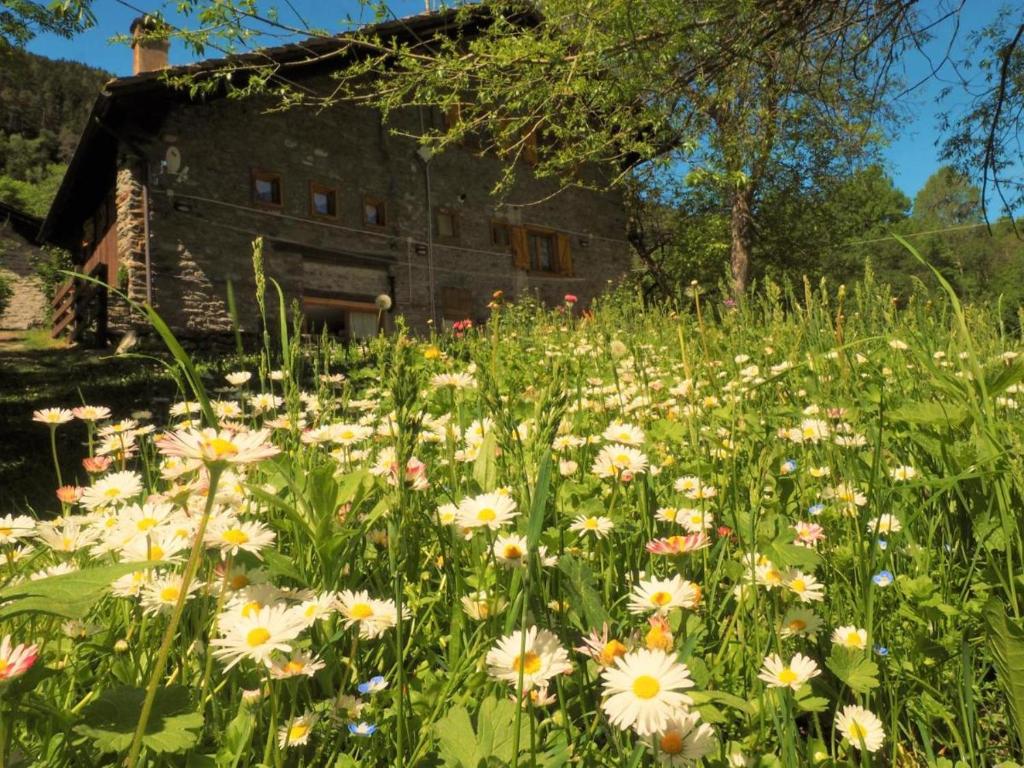 a field of flowers in front of a building at Cozy Chalet next to the Dora Baltea river in Villaret