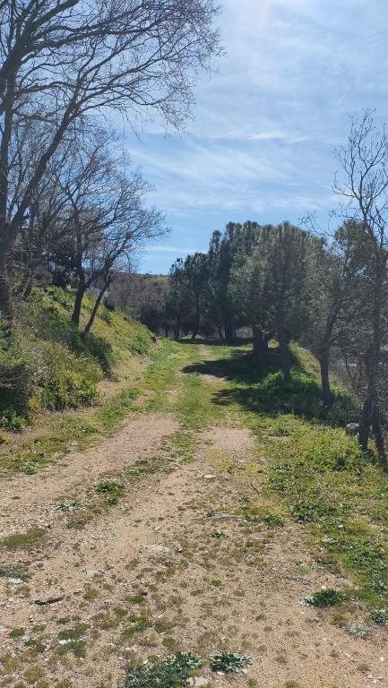 Paisaje cerca de este camping