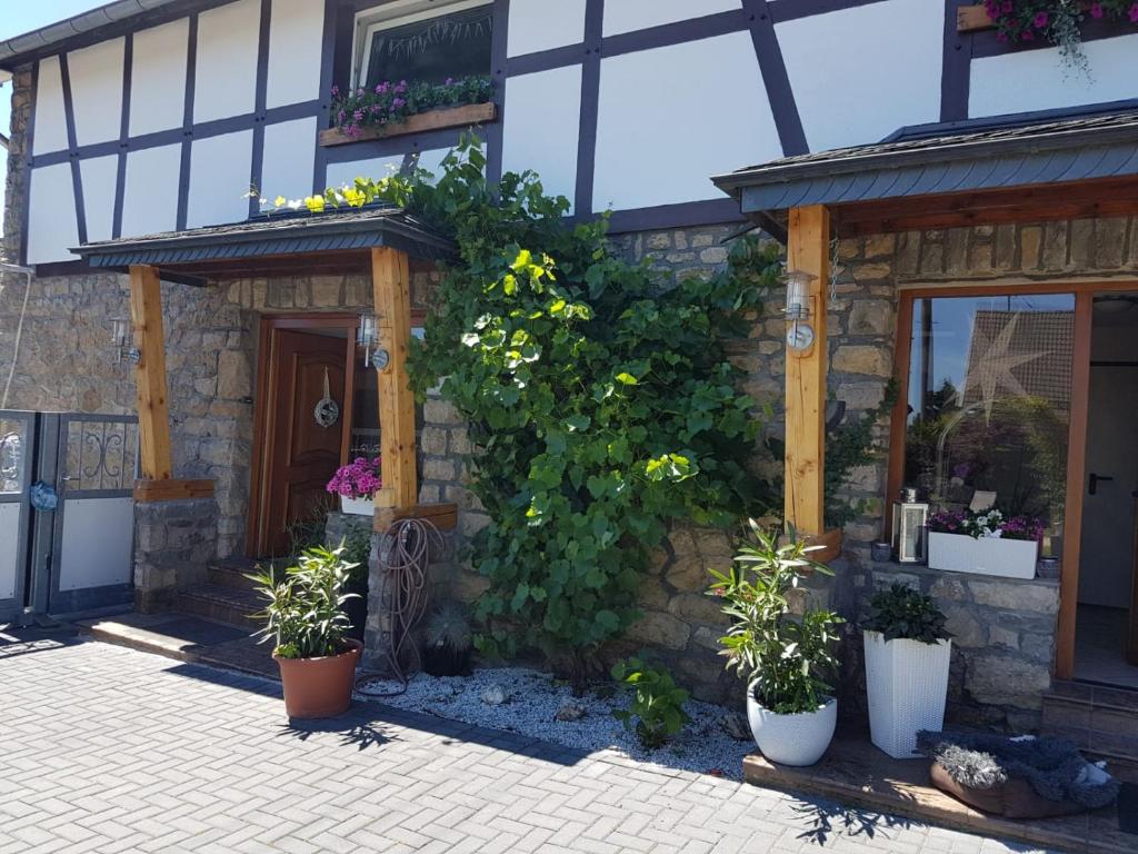 Zahrada ubytování Haus Cornelia II