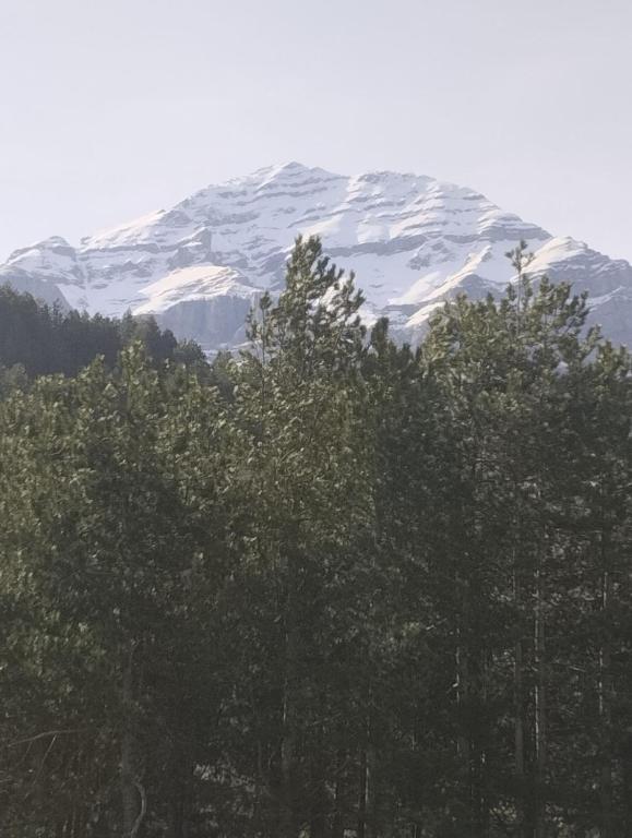 Příroda nedaleko apartmánu