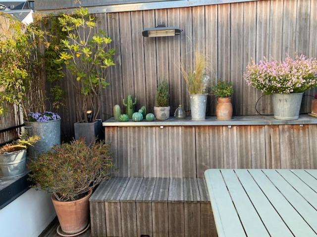 a patio with potted plants on a wooden fence at Normandy chérie in Trouville-sur-Mer