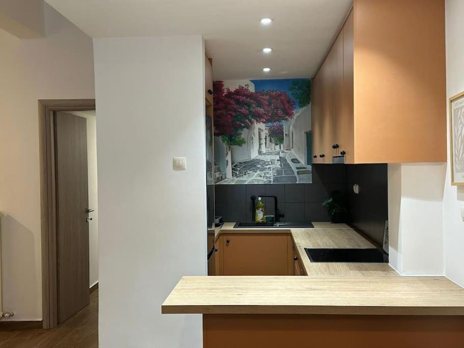 una cocina con fregadero y encimera en Spacious stulish 2 bd flat, en Atenas