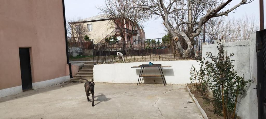 Fotografie z fotogalerie ubytování LT property v destinaci Rustavi