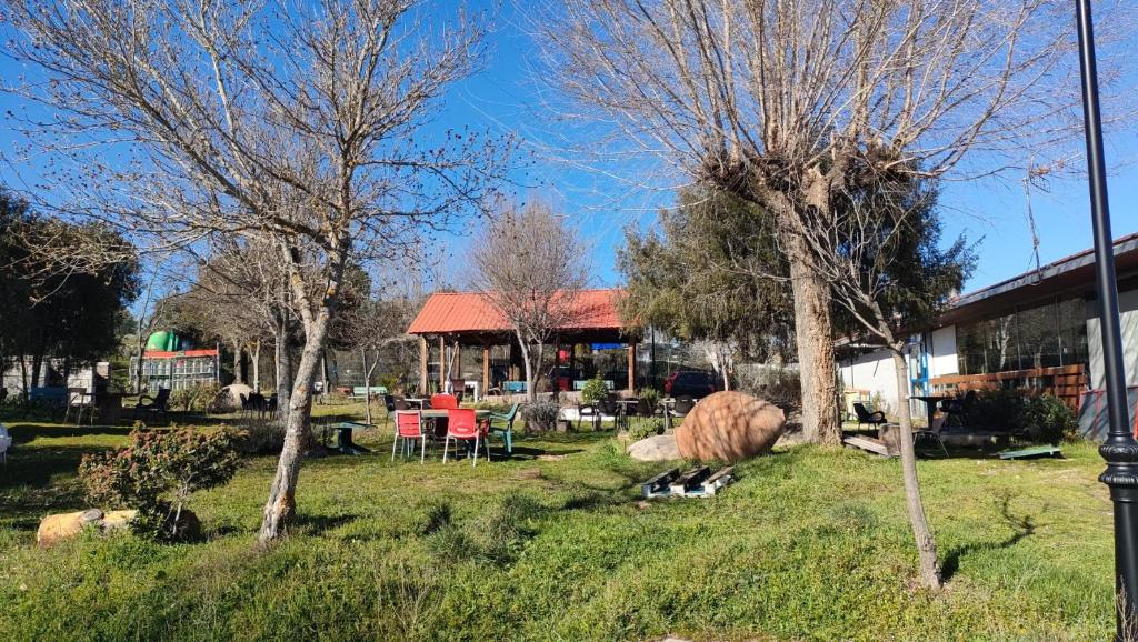 Jardín al aire libre en Camping El Picachuelo