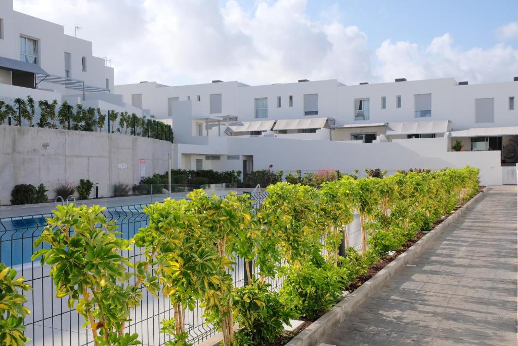 a row of trees in front of white buildings at Casa Mara Médano in El Médano