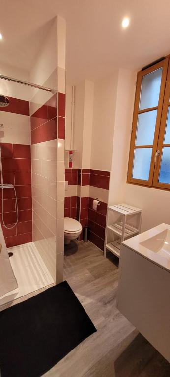 une salle de bain avec une douche, des toilettes et un lavabo dans l'établissement L'unico, à Bagnères-de-Bigorre
