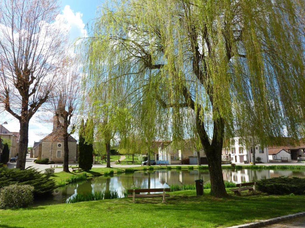a weeping willow tree with a bench next to a pond at COCOONING TIME in Prenois