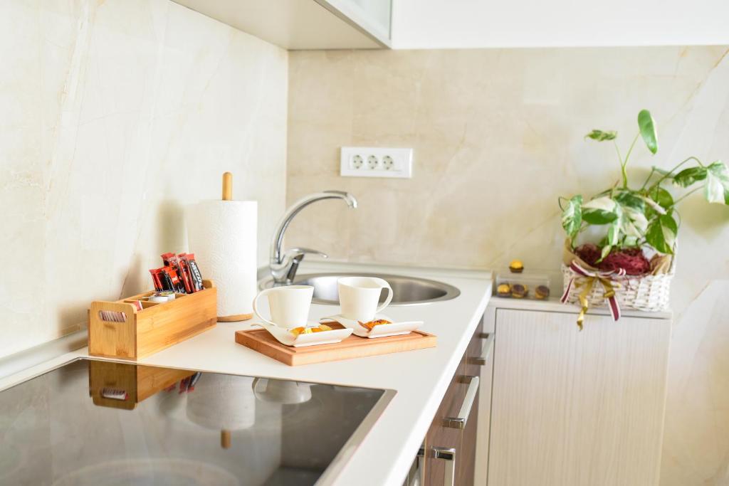 Fotografie z fotogalerie ubytování BAGDALA RESIDENCE APARTMAN v destinaci Kruševac