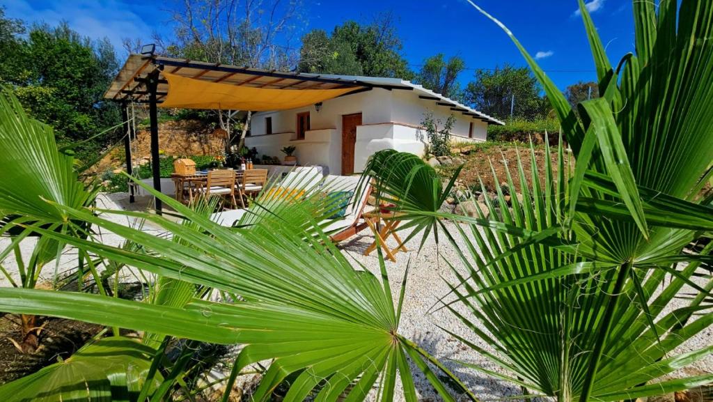 una pequeña casa blanca con un paraguas y algunas plantas en La Estación del Amor en Alora