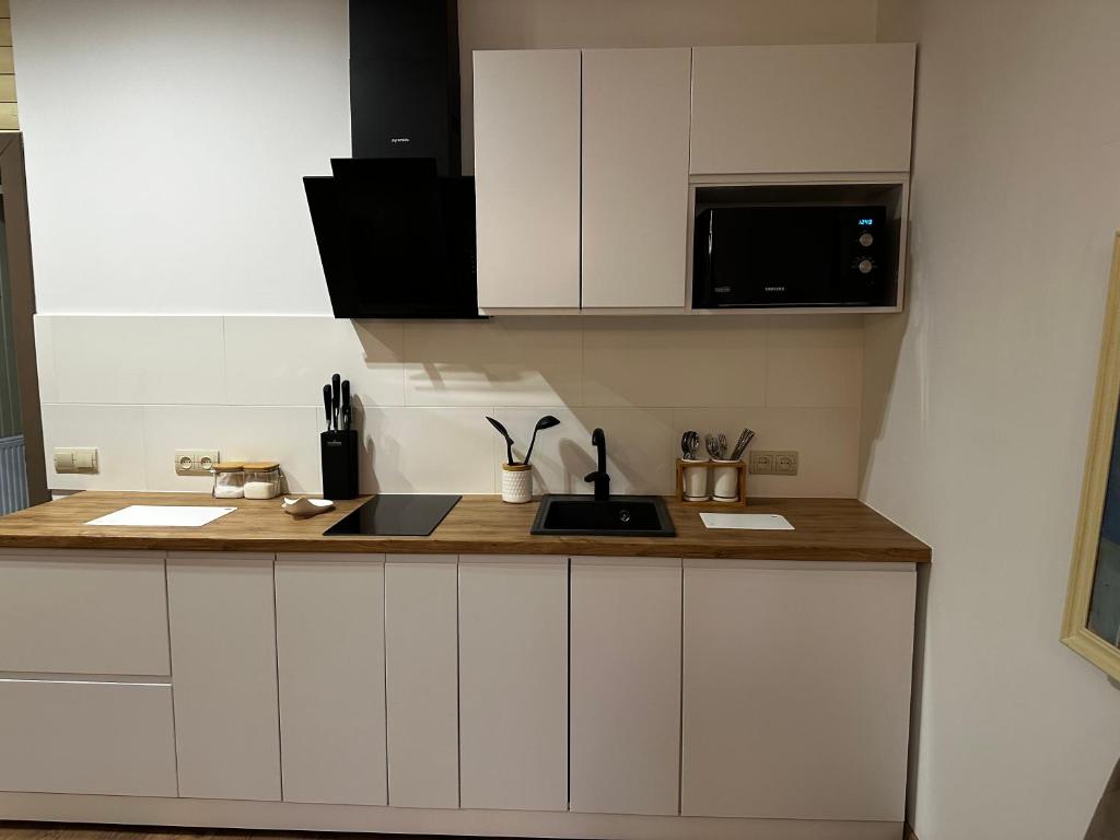 Kuchyň nebo kuchyňský kout v ubytování Erney Laz Hotel