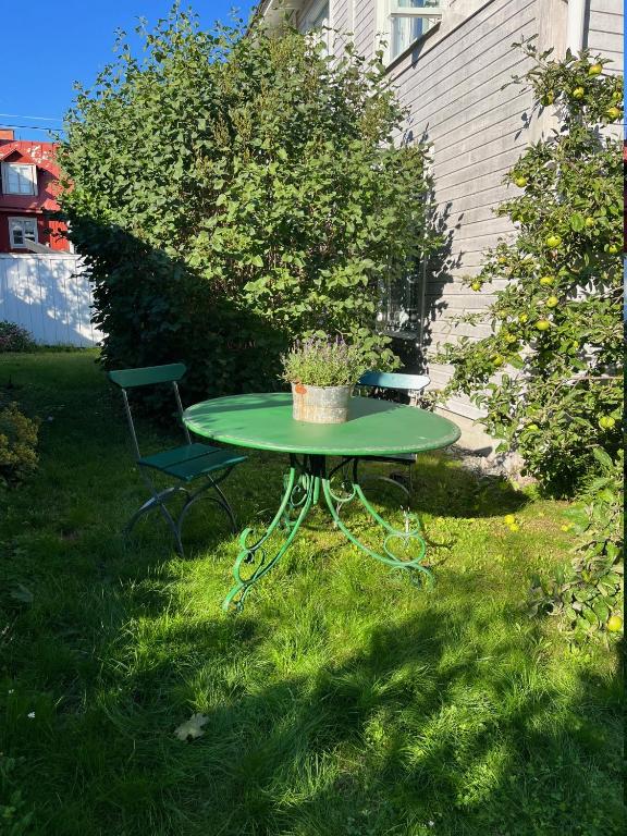 Zahrada ubytování Blå Huset