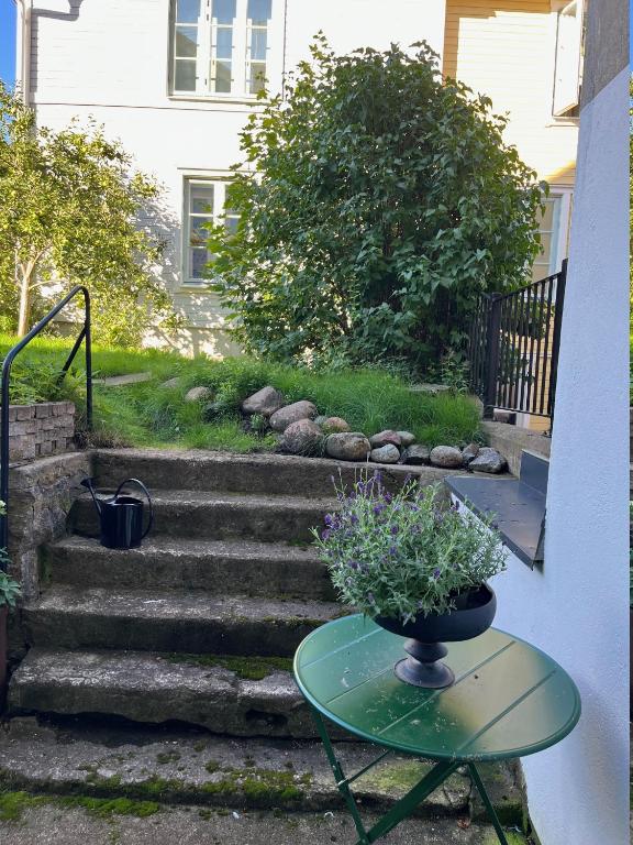 Zahrada ubytování Blå Huset