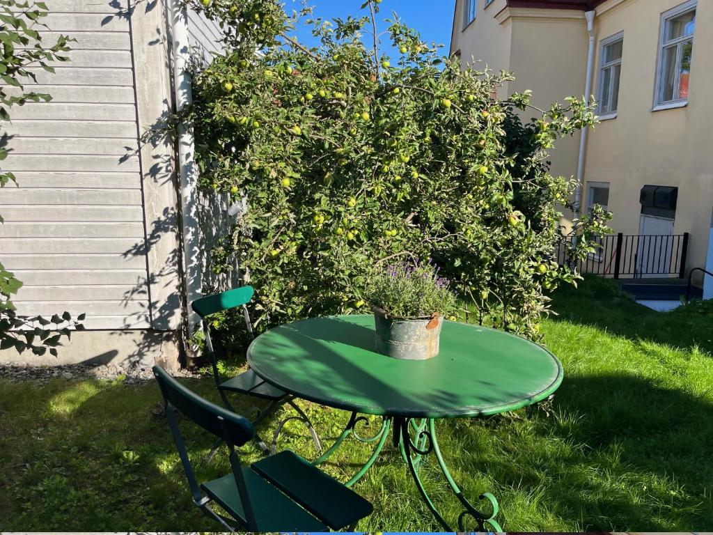 Zahrada ubytování Blå Huset