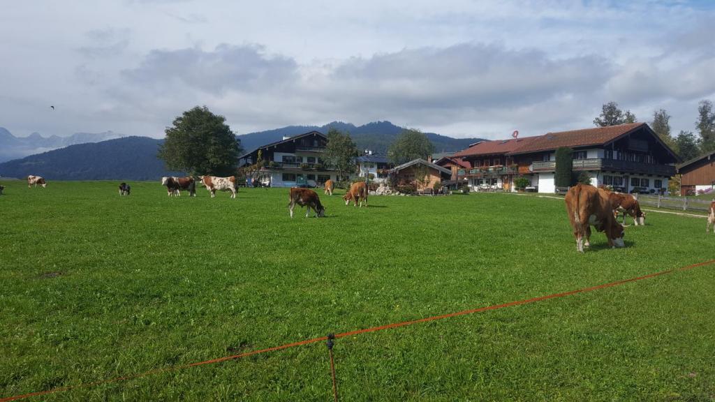 Příroda nedaleko apartmánu