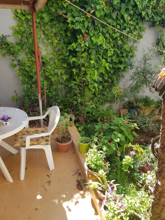 un patio con mesa, silla y algunas plantas en studio toufik en Taza