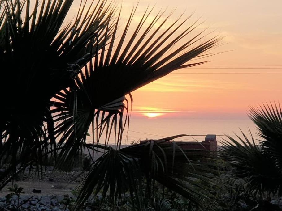 eine Palme mit Sonnenuntergang im Hintergrund in der Unterkunft Maisonnette vue mer en pleine campagne. Originale. in El Jadida