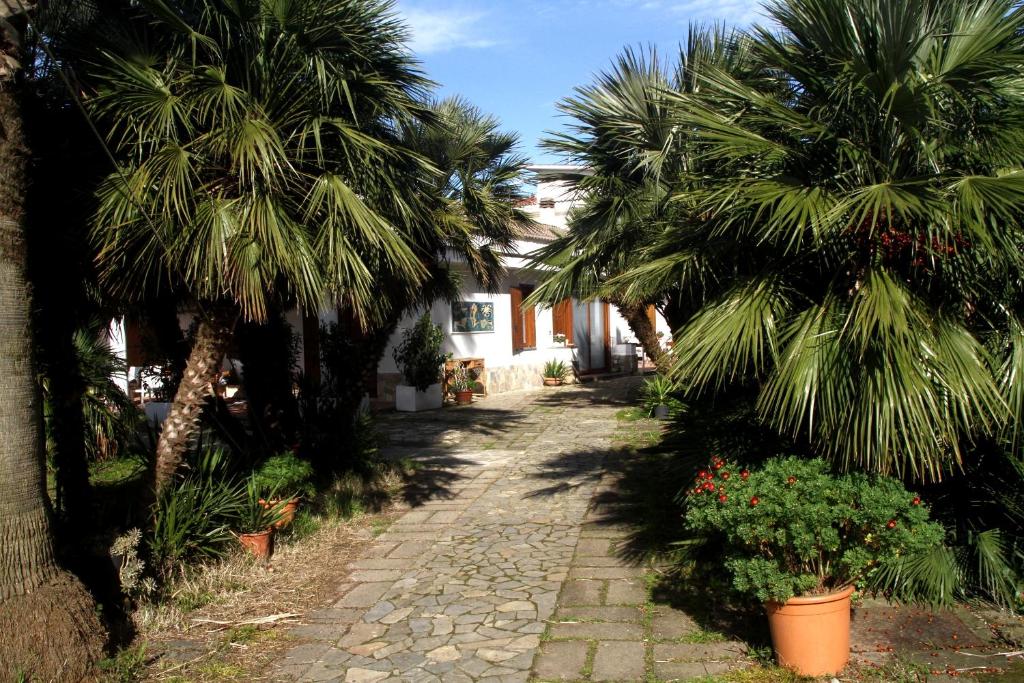una calle con palmeras y una casa en Camera Relax confortevole e riservata in villa, en Massa Lubrense