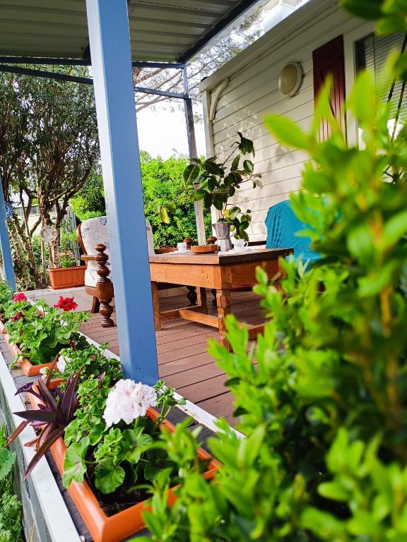 a porch with a table and some plants at Villa Ardilla (La Adrada) in La Adrada