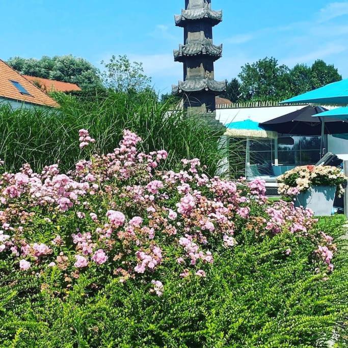 a bunch of pink flowers in front of a building at Familie &amp; Vriendenwoning met fantastisch uitzicht in Ellezelles