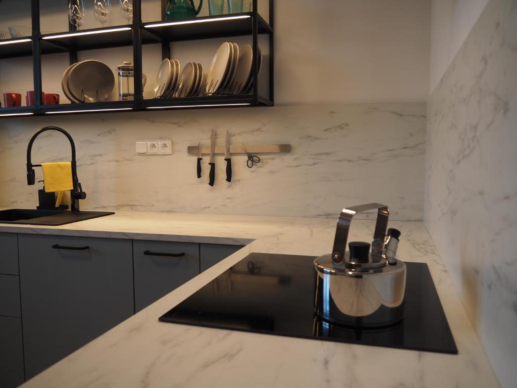 Kuchyň nebo kuchyňský kout v ubytování Apartmány Abacie