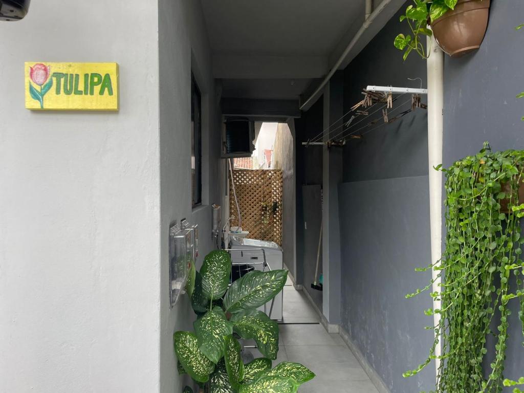 a hallway with plants on the side of a building at Apartamentos - Estúdios in São José