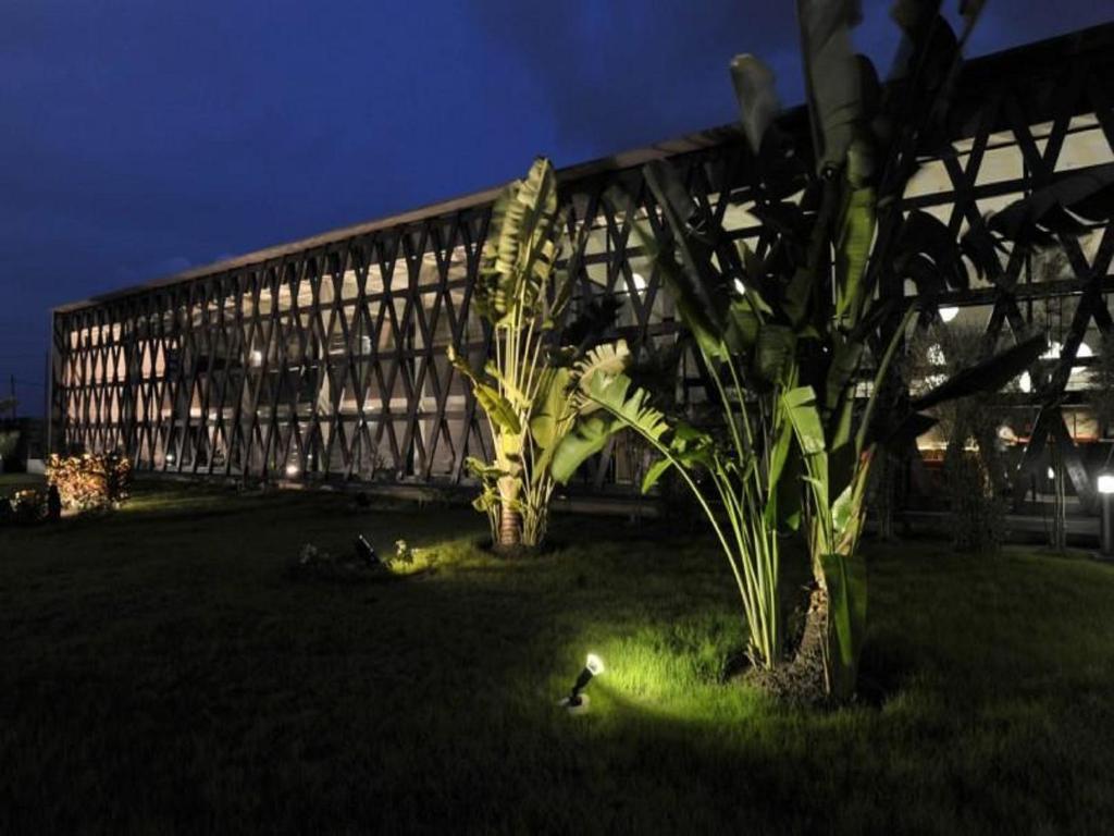 a building at night with a plant in front of it at ONOMO Hotel Abidjan in Abidjan